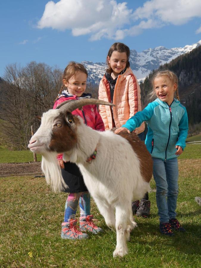 Ferienwohnungen Foidlhof Hochfilzen Ngoại thất bức ảnh