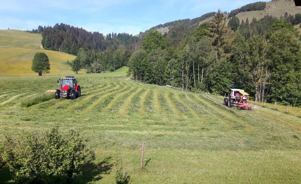 Ferienwohnungen Foidlhof Hochfilzen Ngoại thất bức ảnh