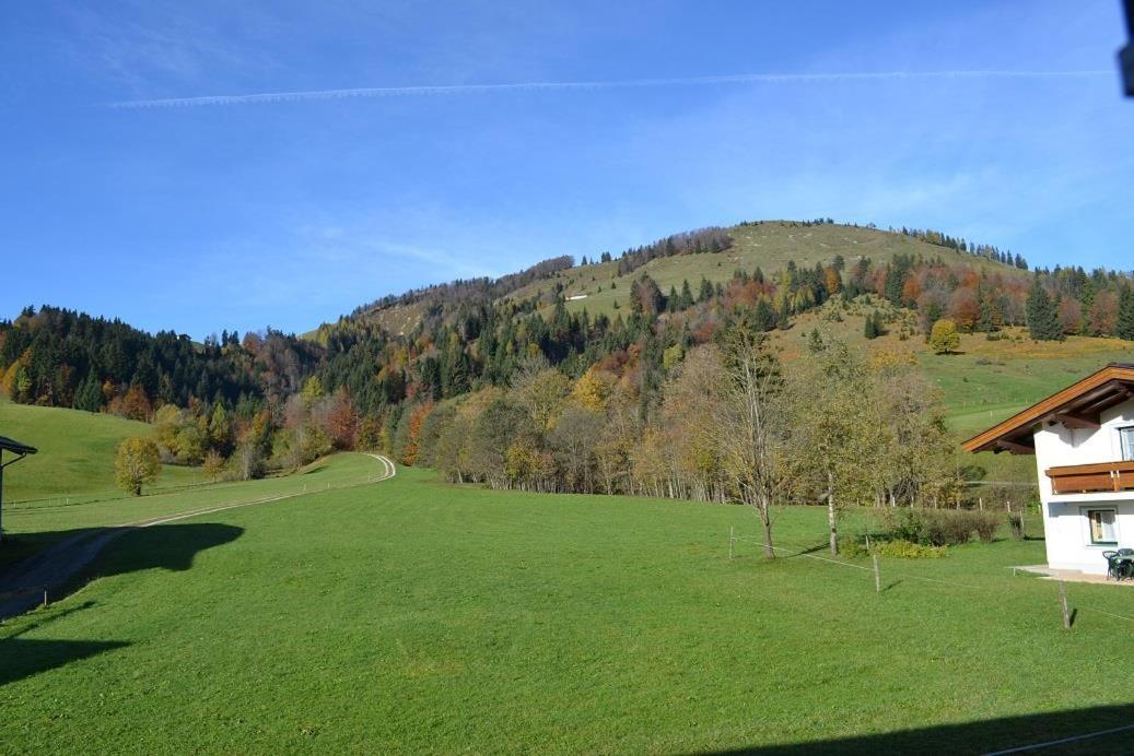 Ferienwohnungen Foidlhof Hochfilzen Ngoại thất bức ảnh
